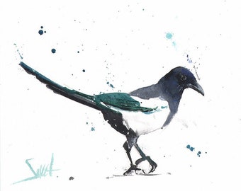 American Black-billed Magpie Bird Watercolor Painting Art Print by Eric Sweet