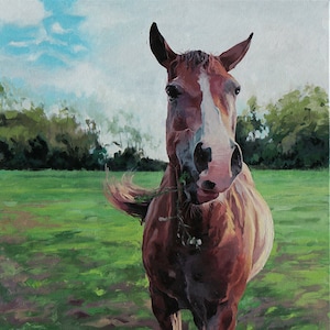 Origineel paard olieverfschilderij door Eric Sweet