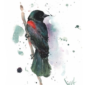 Blackbird Watercolor Painting Art Print by Eric Sweet