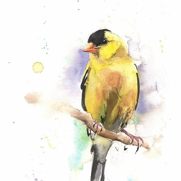 Yellow Goldfinch Bird Watercolor Painting Art Print by Eric Sweet