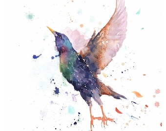 Starling Painting Watercolor Colorful Bird Art Print by Eric Sweet