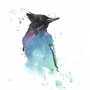 Steller&#39;s jay watercolor print, blue bird wall art, steller&#39;s jay painting, woodland bird decor, birdwatcher gift, bluebird painting