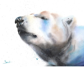 Könnte beinhalten: Ein Aquarellgemälde eines Eisbärenkopfes im Profil, der nach oben blickt. Der Bär ist in Weiß-, Creme- und sanften Blautönen gehalten, mit dunkelgrauen Akzenten um Nase und Maul. Das Wort Sweet ist in der unteren linken Ecke signiert.