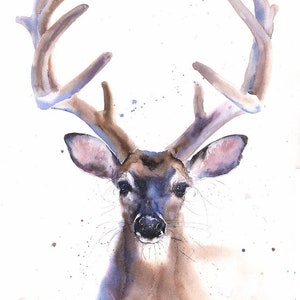 Buck deer print - watercolor deer painting, rustic wildlife painting, whitetail deer wall decor, hunting cabin artwork, nature lover gift