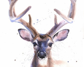 Watercolor Buck Art Print - Forest Animal Deer Painting