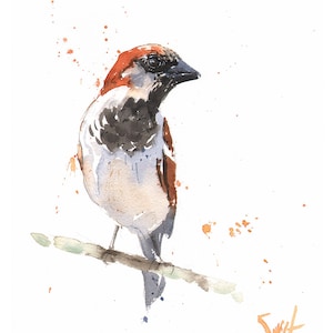 House Sparrow Watercolor Bird Art Print by Eric Sweet