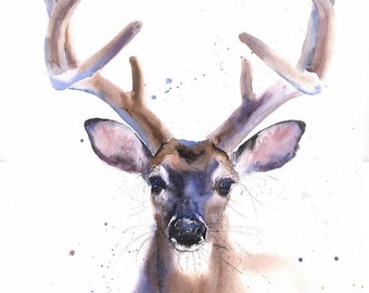 Watercolor Deer Painting Buck Art Print Wall Decor by Eric Sweet