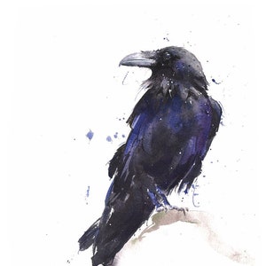 Raven Bird Art Print Watercolor Painting by Eric Sweet