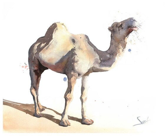 Camel painting deals