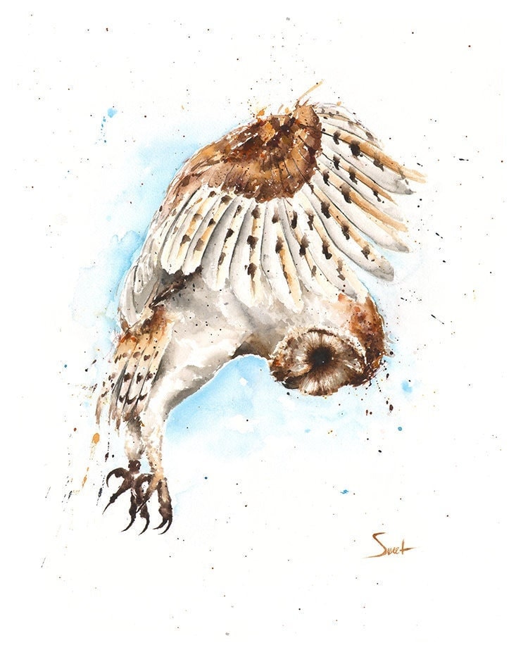 Flying Barn Owl Watercolor Art Print - Majestic Bird Wall Art