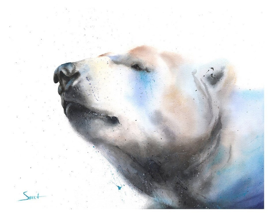 Polar Bear Watercolor Painting Art Print by Eric Sweet - Etsy