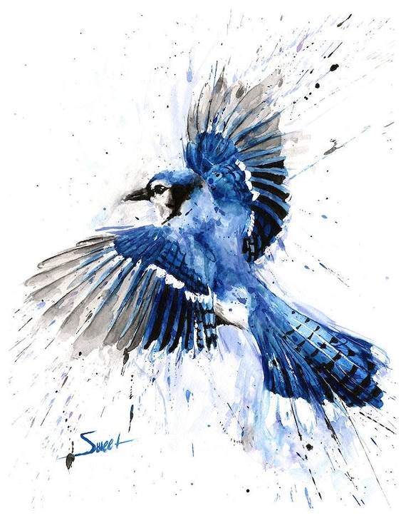 Flying Blue Jay — Austin Fabinski Art