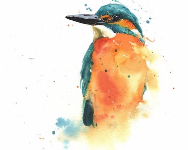 カワセミのアートプリント - 水彩画の鳥の絵 - 鳥好きへのギフト