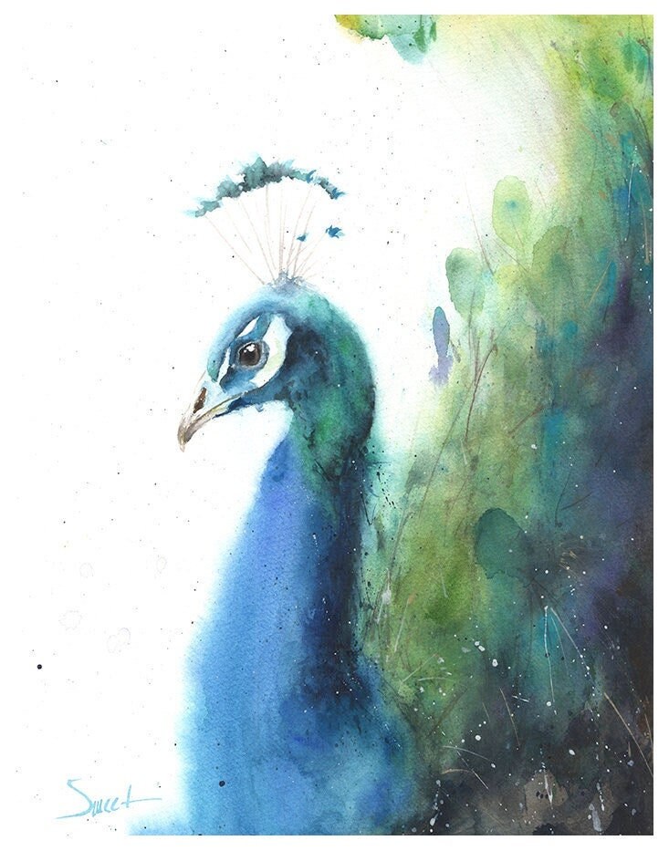 絵画 水彩画　クジャクサボテン(原画) Watercolor peacock wall art print, vibrant peacock painting