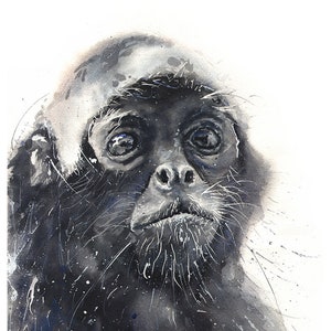 Spider Monkey Original Watercolor Painting by Eric Sweet