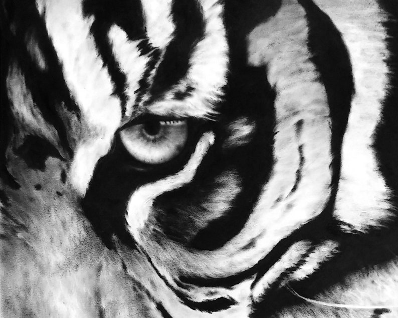 May include: A black and white charcoal drawing of a tiger face, focusing on the intense gaze of one eye. The artwork features high-contrast shading with deep black stripes and soft white fur textures, capturing the animal's detailed facial features.