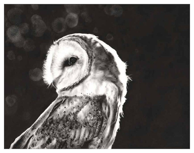 Barn Owl Art Black and White Oil Painting by Eric Sweet image 1