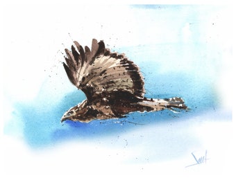 Golden Eagle Watercolor Painting Bird Art Print by Eric Sweet