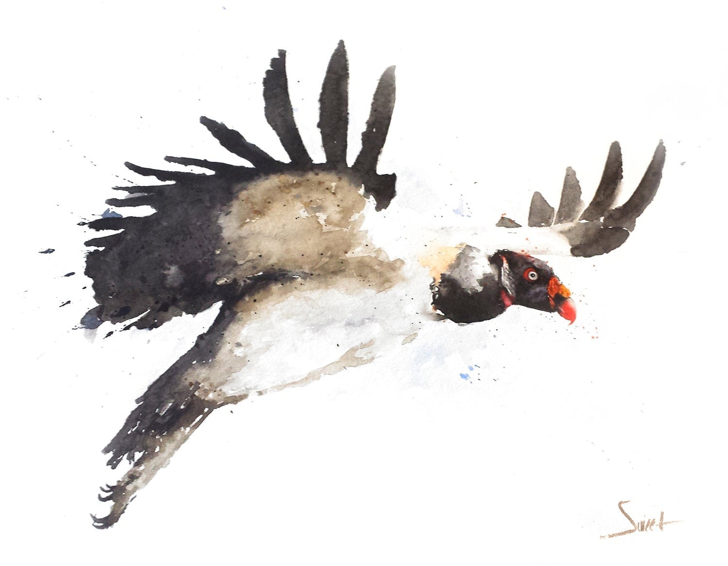 Vulture Watercolor Art Print - Flying Bird Wall Decor - Etsy