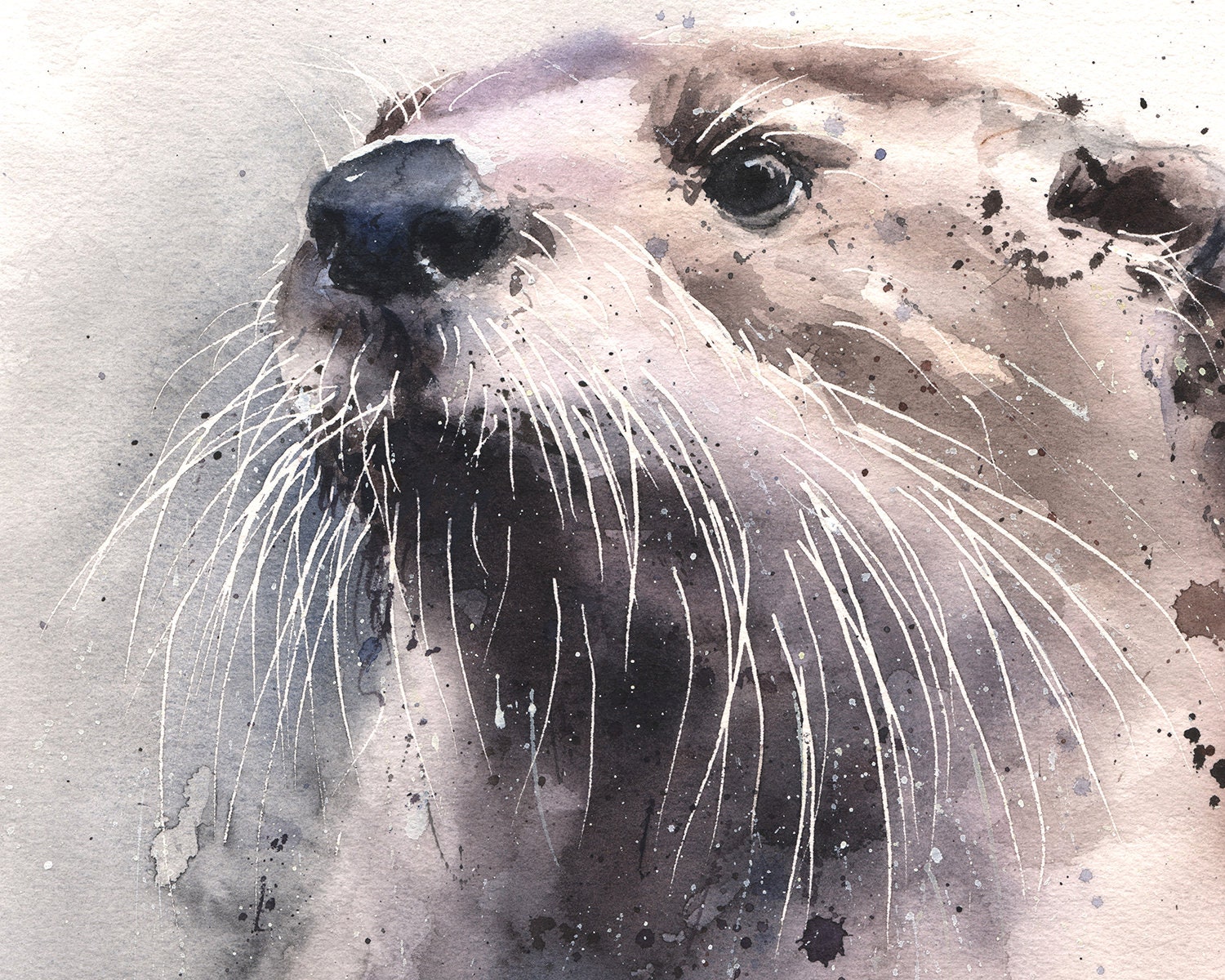 Otter Watercolor Print Otter Art Print Watercolor Otter Etsy Otter Watercolor Print Otter Art Print Watercolor Otter Etsy