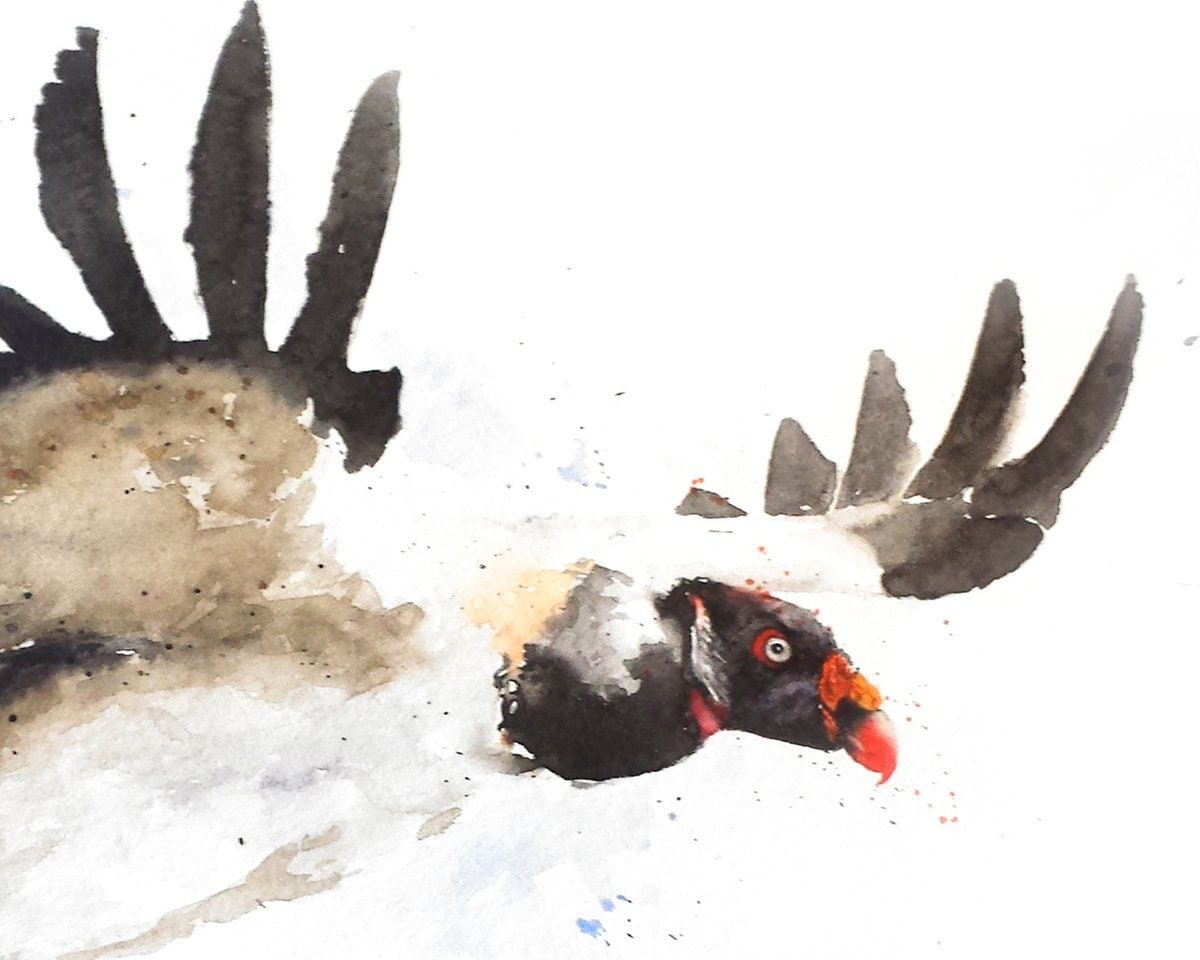 Vulture Watercolor Art Print - Flying Bird Wall Decor - Etsy