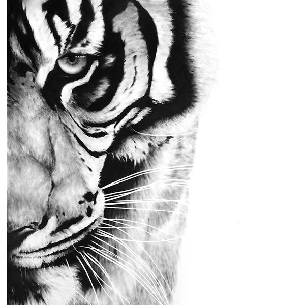 Décoration tigre, peinture à l'huile en noir et blanc, impression d'art animalier par Eric Sweet