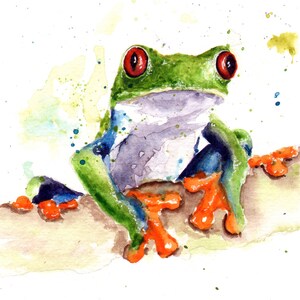 Red Eyed Tree Frog Watercolor Painting Art Print by Eric Sweet - Etsy
