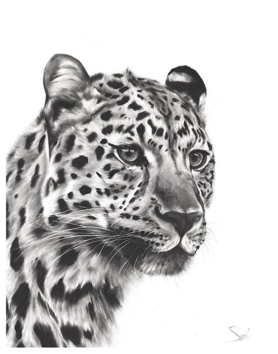 Tropical Leopard Cat Family Wall Picture Art Print