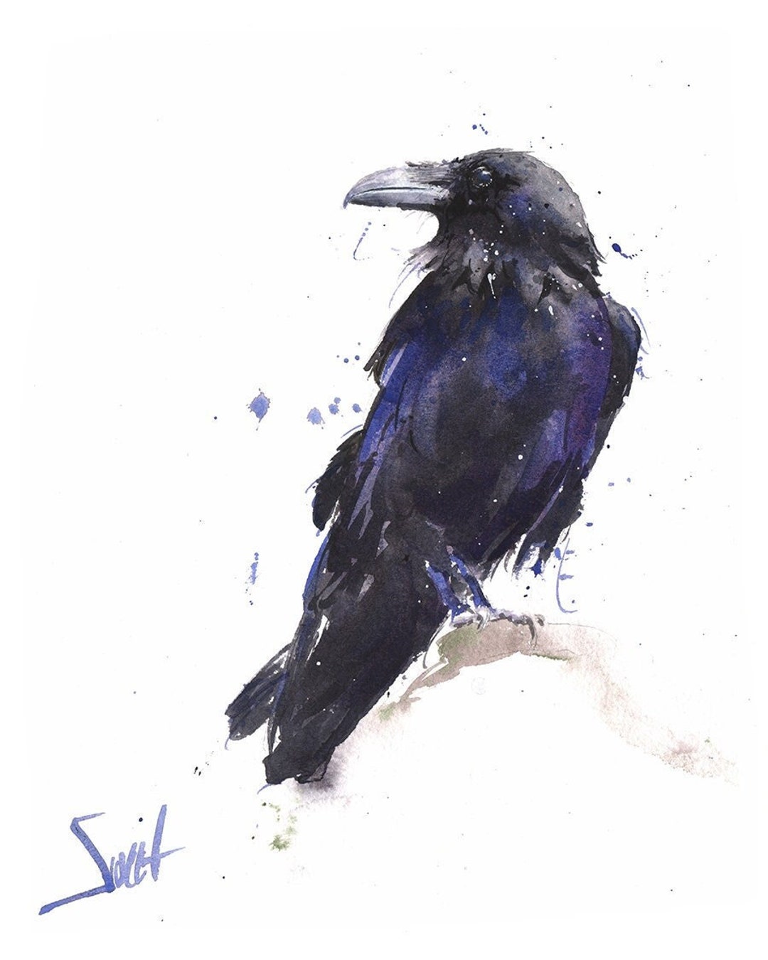 Watercolor Raven Art Print - Black Bird Wall Decor - Etsy