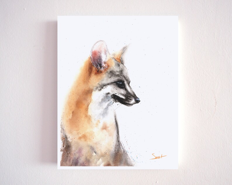 May include: Watercolor painting of a gray fox with orange fur on its neck and back. The fox is looking to the right and has a white background.