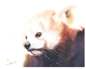 Red Panda Watercolor Art Print Bear Painting by Eric Sweet