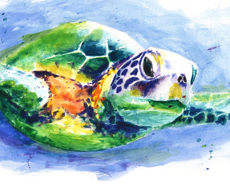 Green Sea Turtle Painting Watercolor Art Print by Eric Sweet Etsy
