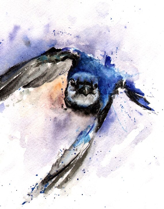 ブルージェイの水彩画アートプリント - 鳴鳥の絵画 - Etsy 日本