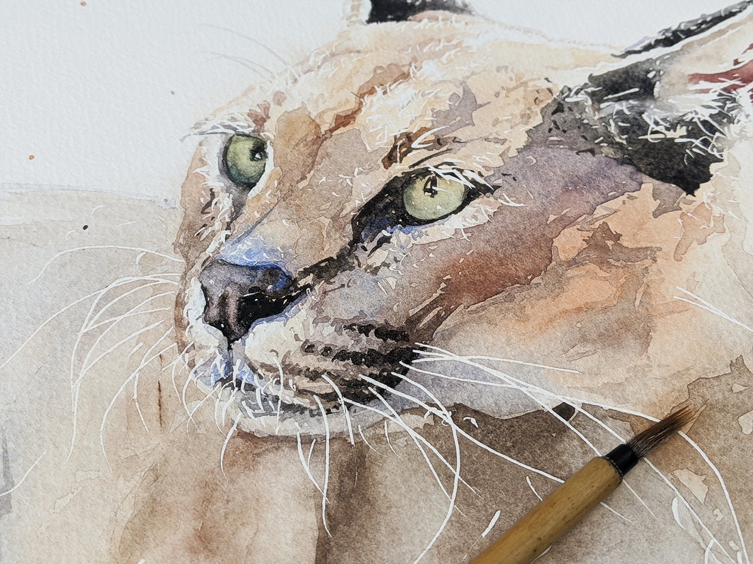 Caracal Watercolor Cat Print - Hand Painted Wildlife Art - Etsy