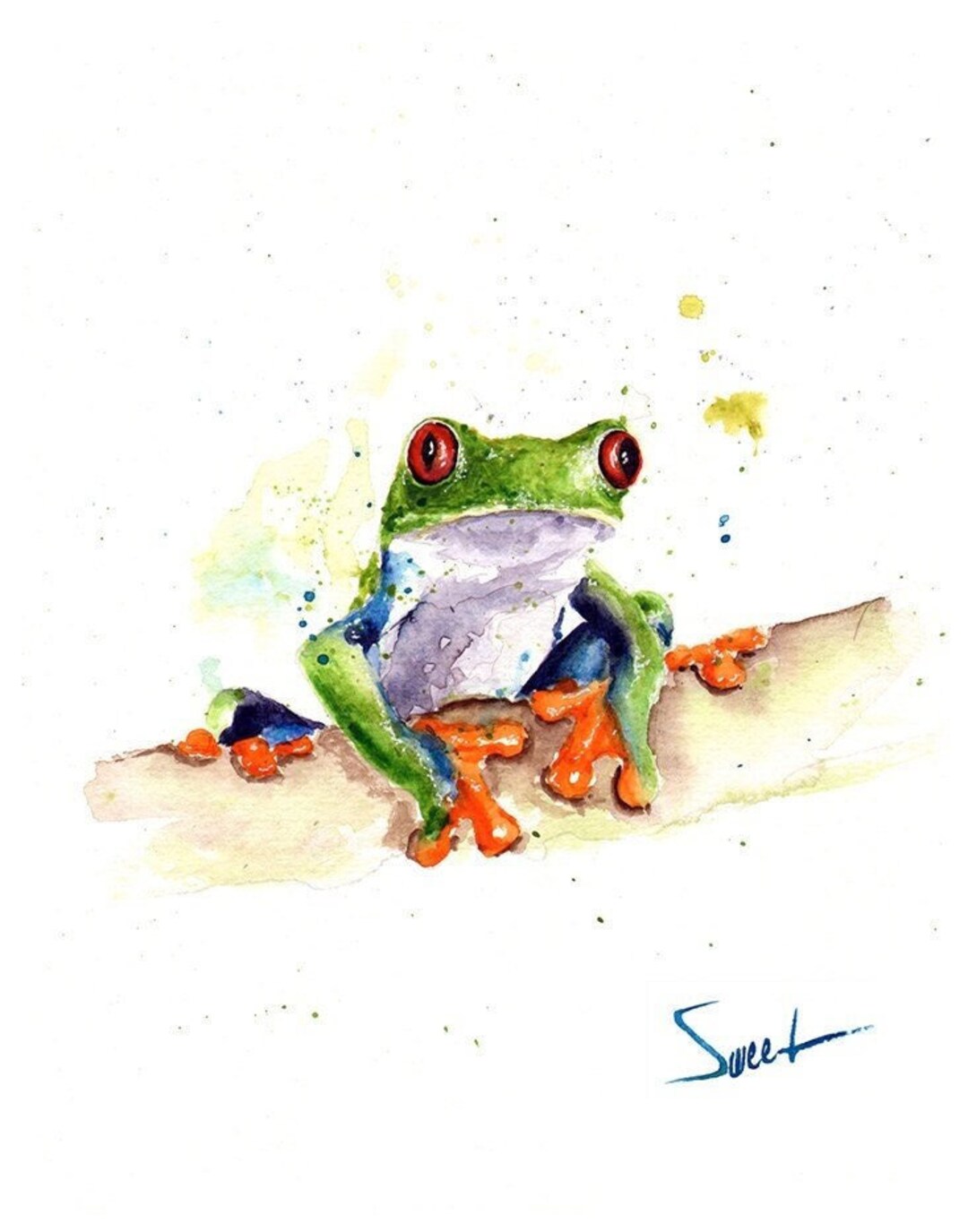 Red Eyed Laubfrosch Aquarell Malerei Kunstdruck Von Eric Sweet Etsy de red-eyed-laubfrosch-aquarell-malerei-kunstdruck-von-eric-sweet-etsy-de