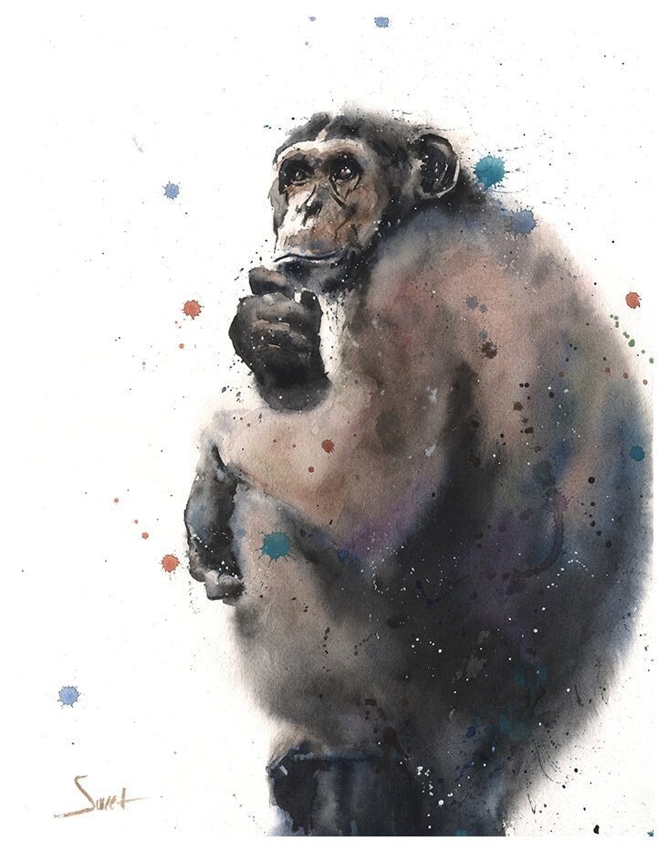 水彩画のチンパンジーのプリント - 野生動物のチンパンジーの