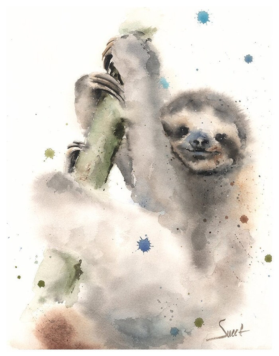 最高品質の ナマケモノ 絵画 ソフトパステル (額縁付) 絵画 - 絵画