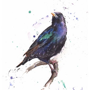Watercolor starling bird print, iridescent bird wall art, european starling painting, nature-inspired art, wildlife home decor, bird gift