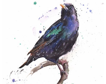 May include: Watercolor painting of a black bird with iridescent green and purple feathers perched on a branch. The background is white with splatters of green and purple paint.