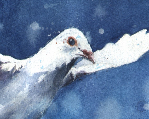 エリック・スウィートによる水彩画の白い鳩の鳥の絵画のアートプリント