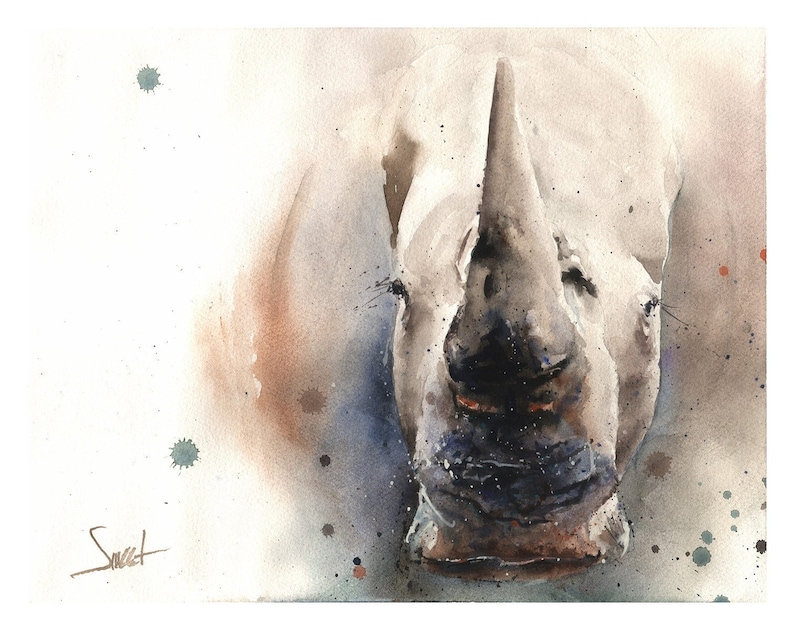 May include: A watercolor painting of a white rhinoceros with a close-up view of its face and horn. The background is a light brown with blue and green watercolor splatter. The artist's signature 'Sweet' is in the lower left corner.