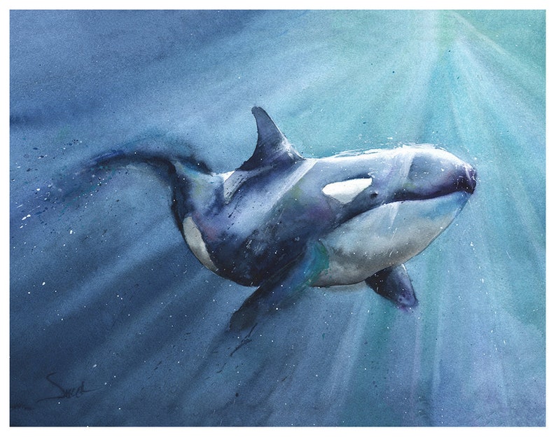 killer whale wall art whale gifts whale lover gift watercolor whale painting KILLER WHALE PRINT whale decor orca print whale artwork