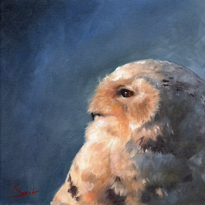 Snowy Owl Art Print - Traditional Bird Oil Painting