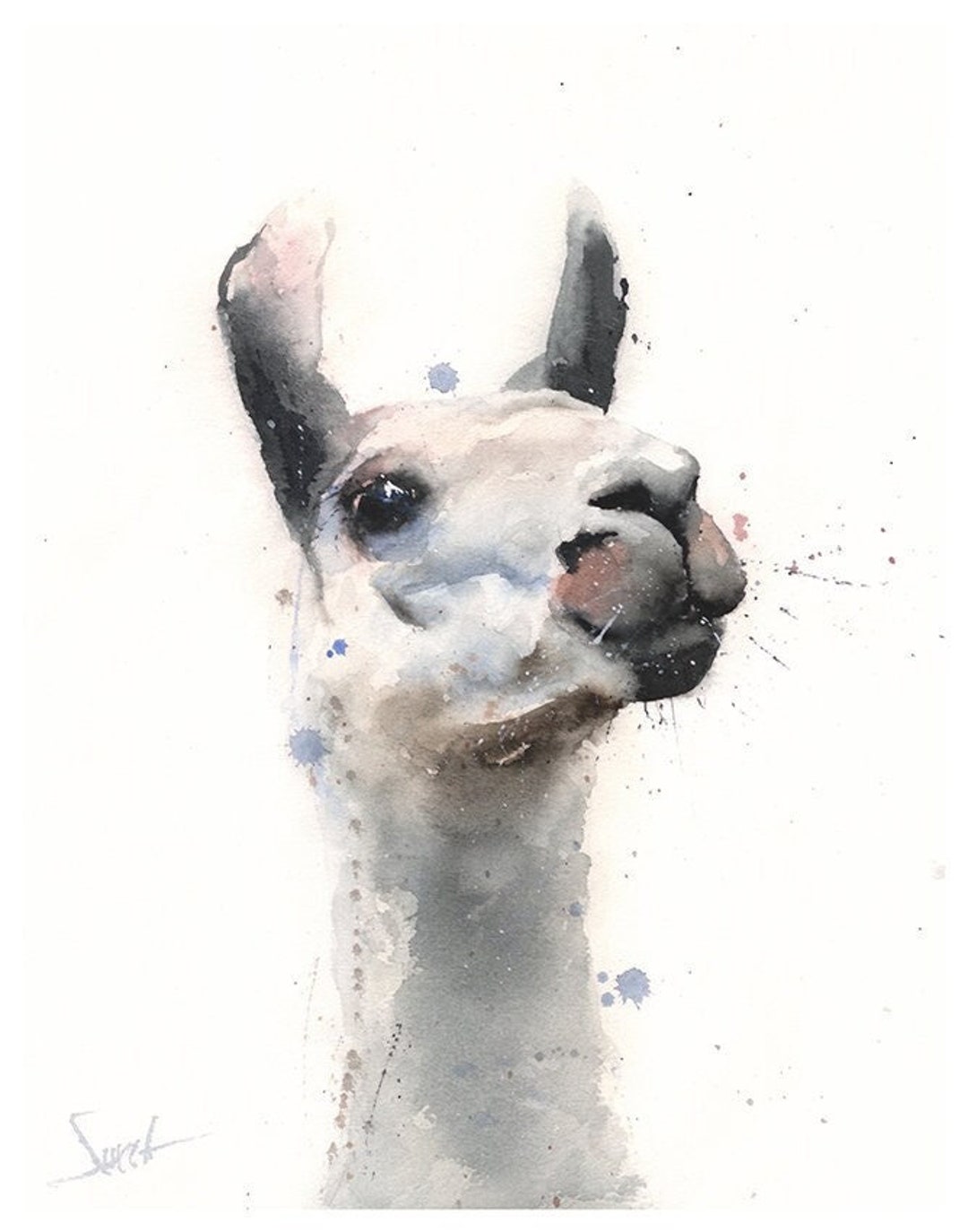 Llama Watercolor Painting Art Print by Eric Sweet - Etsy
