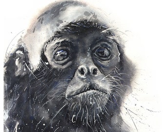 Spider Monkey Watercolor Painting Art Print by Eric Sweet