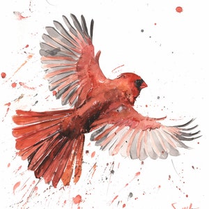 Cardinal Watercolor Print - Flying Red Bird Painting