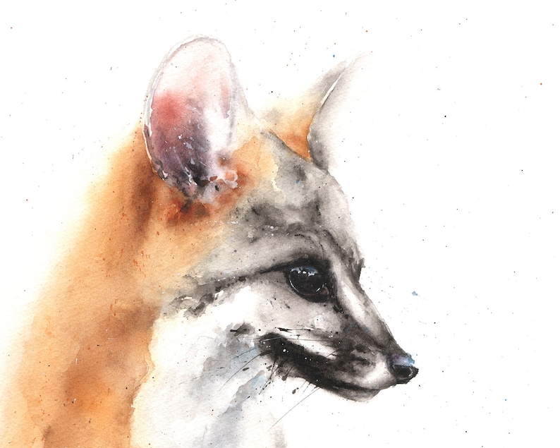 Watercolor Grey Fox Print, Woodland Animal Art, Nursery Wall Art image 2