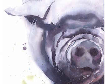 Pintura de acuarela de un cerdo morado - Arte original de Eric Sweet, 16x20