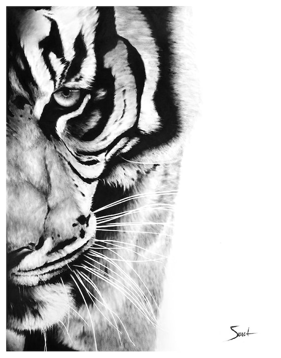 Tiger Wall Art Print, Black and White Tiger Painting, Wildlife Art Print, Large Animal Wall Decor, Safari Home Decor