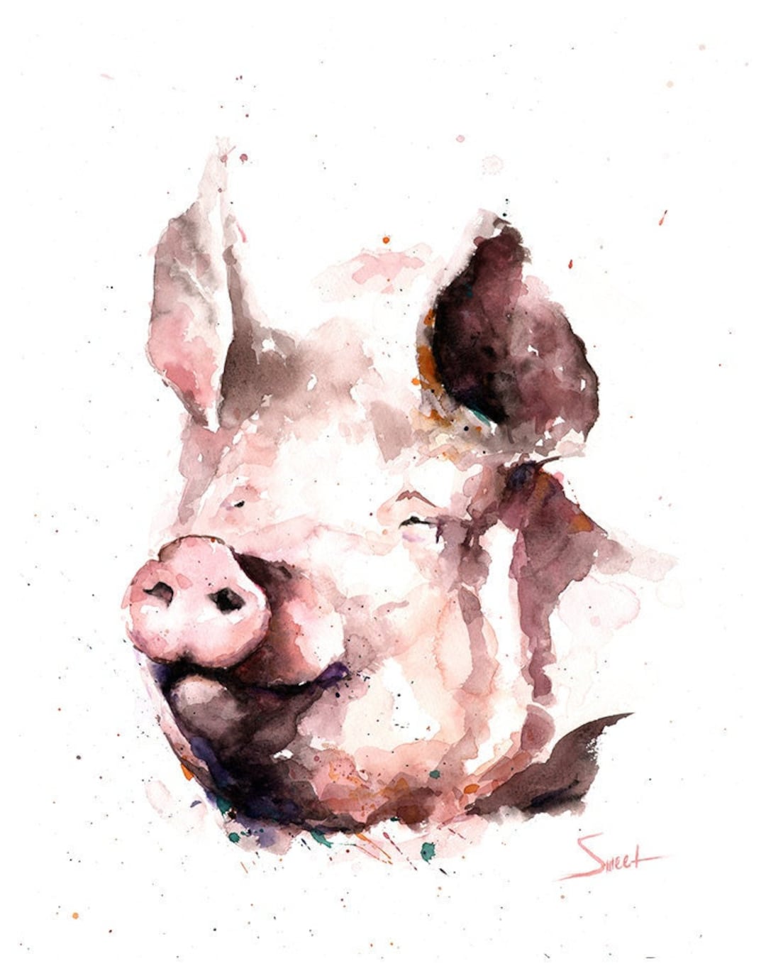 エリック・スウィートによる、風変わりな水彩画のピンクの豚の絵画